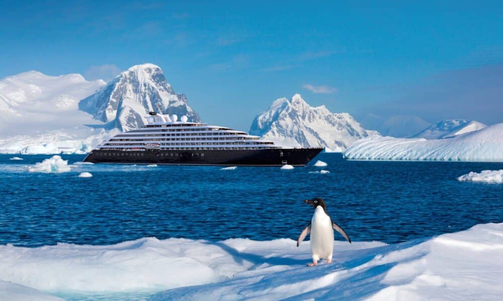 Kaiserpinguinen Luxuriöse Kreuzfahrt Scenic Eclipse Antarktis, Luxus