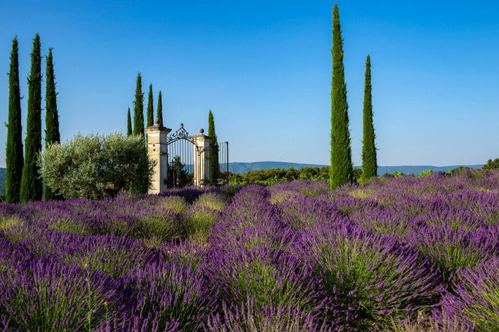 Provence Ferien im Spa Resort 