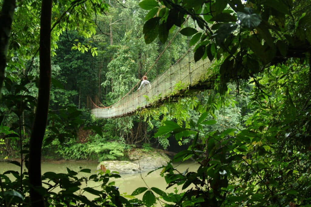 Malaysia nachhaltig entdecken