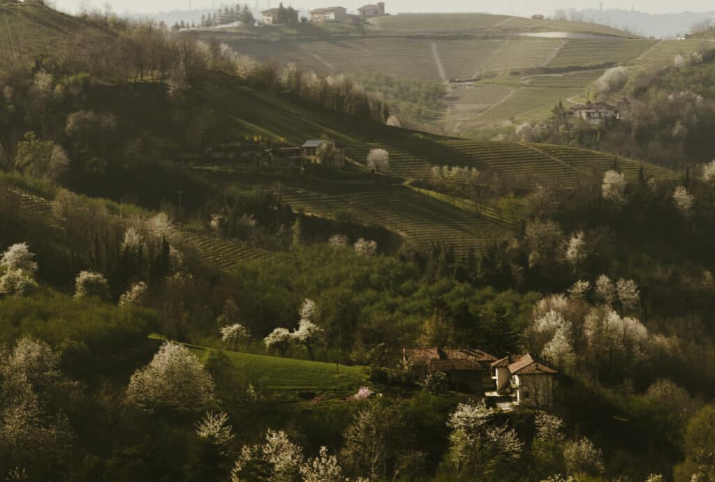 Casa di Langa: Nachhaltige 5-Sterne-Eleganz in Piemont mit Trüffelsuche, Kunst und Weinschule