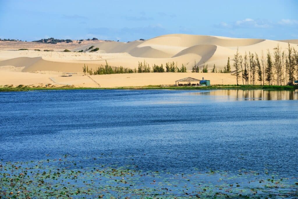 Vietnam Mui Ne Sand Dunes Ferien Natur