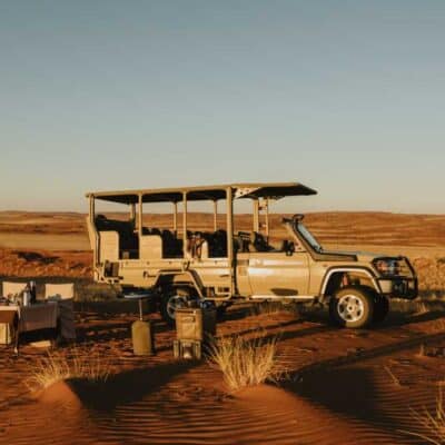 Safari Jeep Wildnis Tisch Essen Natur