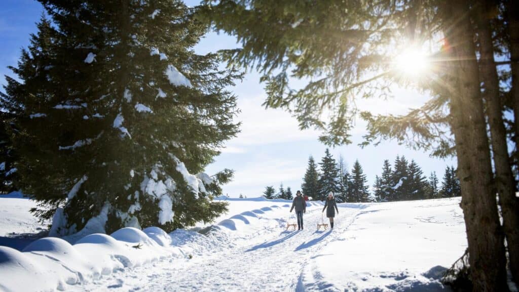 Winterwandern