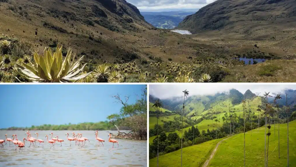 © Guajira, Naturschutzgebiet Iguaque, Cocora-Tal, Lorena Velasco, Carmen Villegas, Kolumbien
