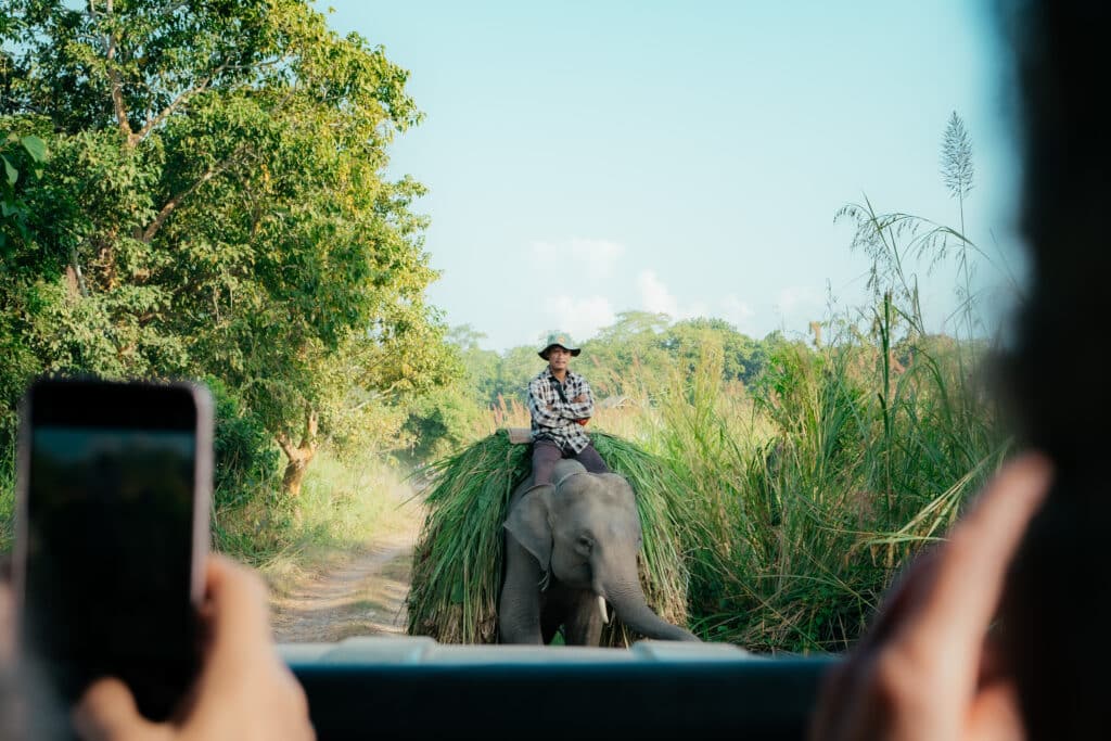 Nepal mal anders: Abenteuer im Kasara Chitwan Resort