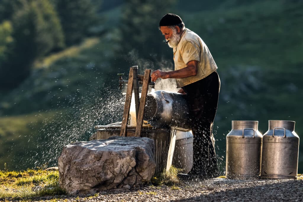 Alparbeiten auf der Furgglenalp - Reiseziel in der Schweiz