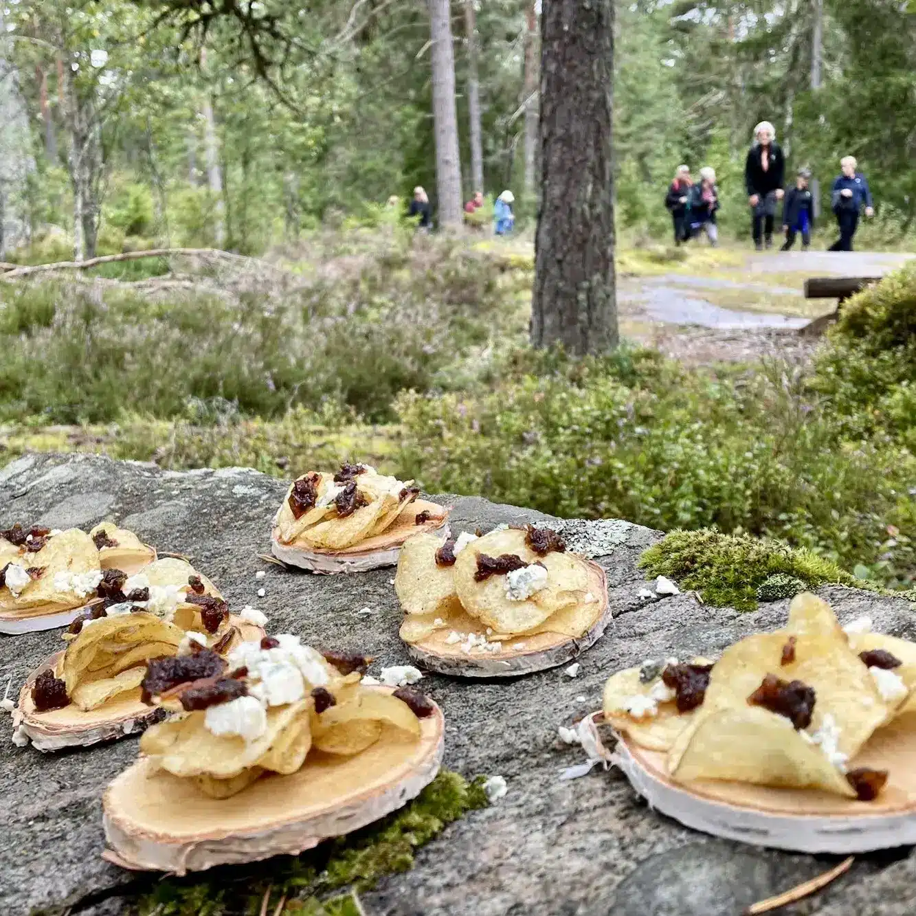 Glamping Värmland: 6 exklusive Wildnis-Erlebnisse in Schweden Regionale Köstlichkeiten werden bei der geführten Matvandring auf natürlichen Holzscheiben direkt im värmländischen Wald serviert (Quelle: Visit Värmland).
