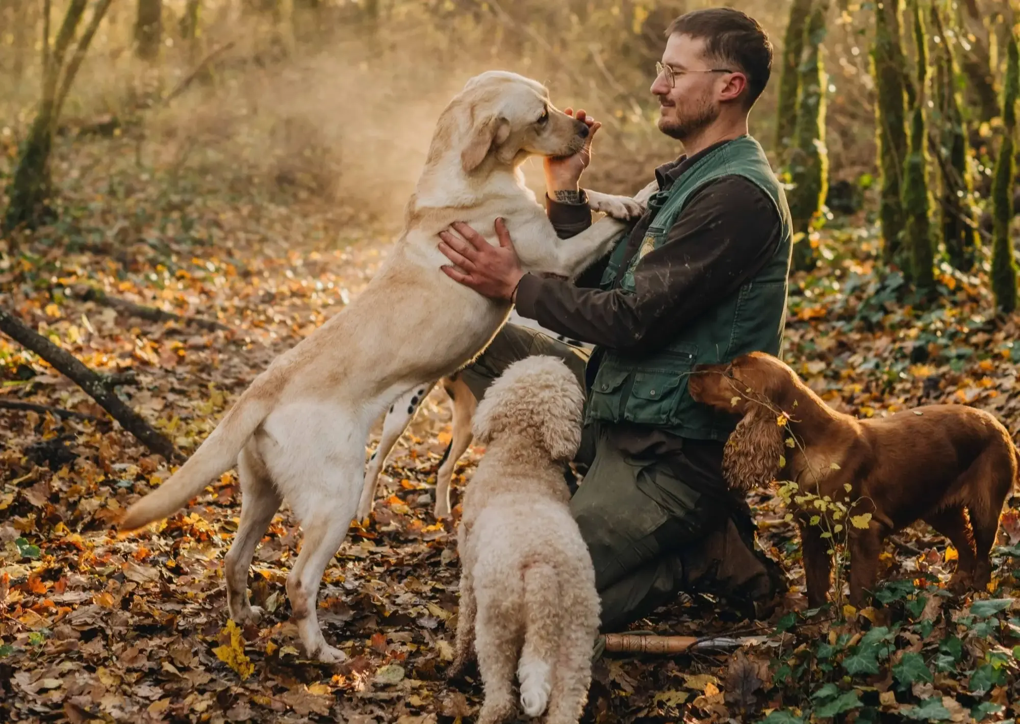 Trüffelsuche Istrien: Exklusive 3-Stunden-Tour im Luxusresort Trüffelsuche Istrien: Hund spürt in den Wäldern bei Paladini Trüffel auf (Quelle: zvg)